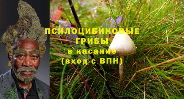 ПСИЛОЦИБИНОВЫЕ ГРИБЫ Володарск