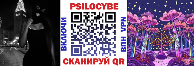 Псилоцибиновые грибы мухоморы  OMG зеркало  Елец 