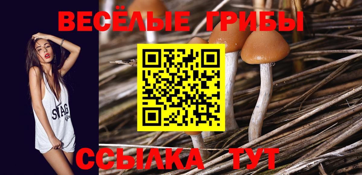 Галлюциногенные грибы MAGIC MUSHROOMS Елец