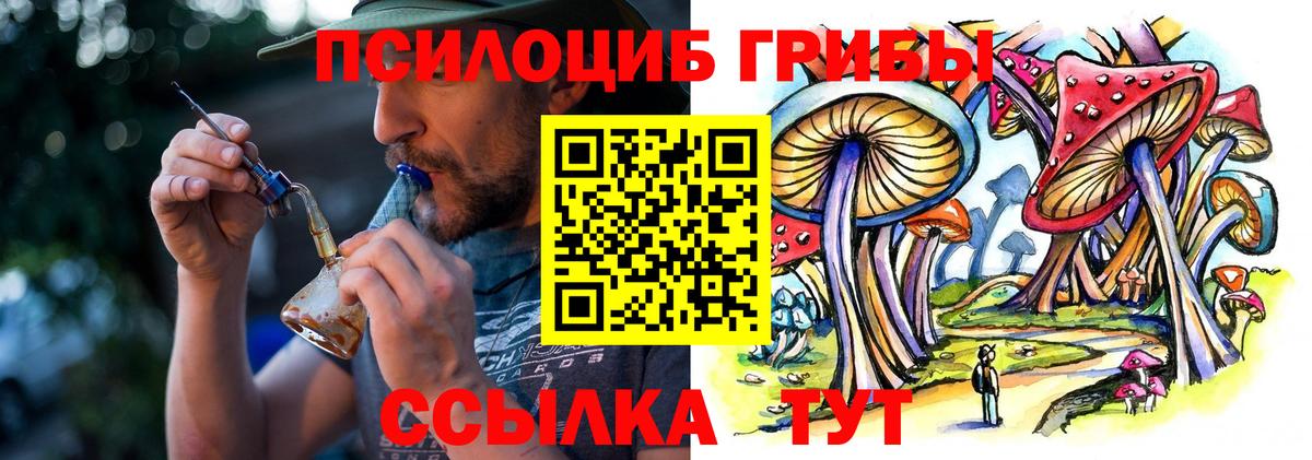 Псилоцибиновые грибы Cubensis  Псилоцибиновые грибы Magic Shrooms  Елец  Вход с VPN 